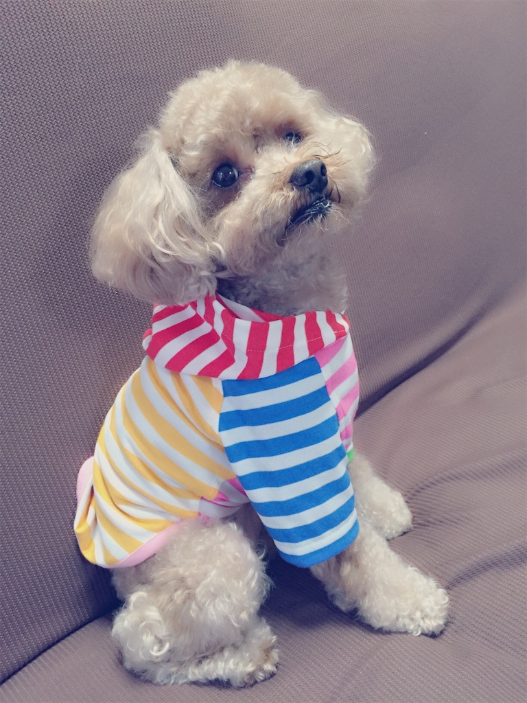 f:id:maaa22:20181203185558j:image