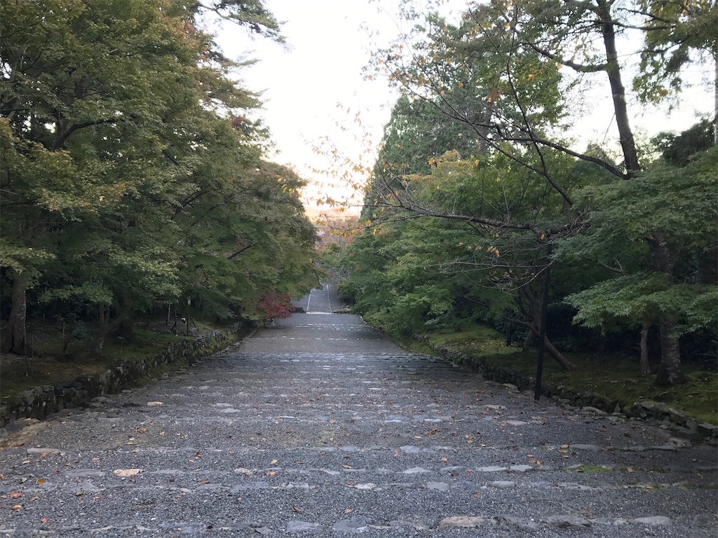 f:id:maaaaating:20171104235733j:image