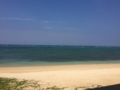 海