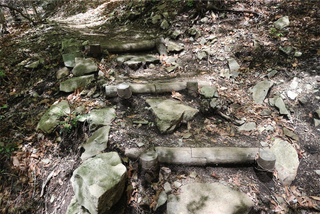 f:id:maaikkachannel:20210508153230j:image