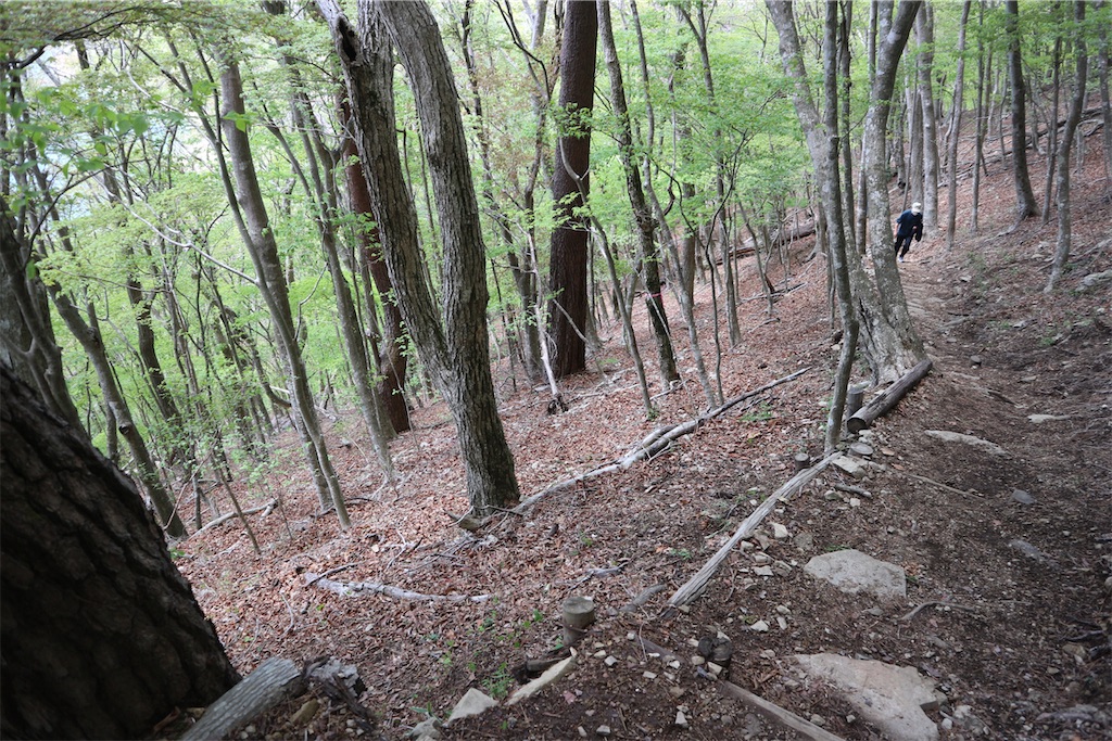 f:id:maaikkachannel:20210508153240j:image