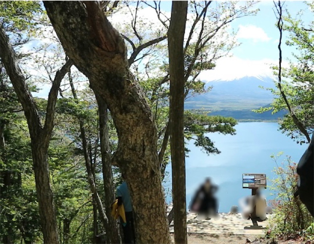 f:id:maaikkachannel:20210509213552j:image