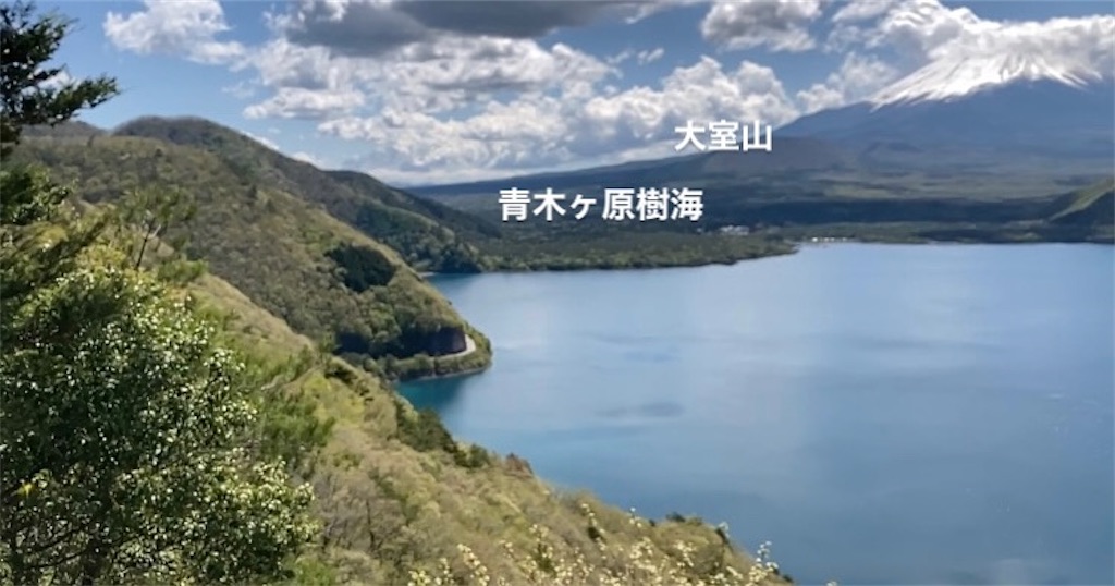 f:id:maaikkachannel:20210509221317j:image