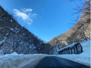 f:id:maaikkachannel:20220119202137p:plain