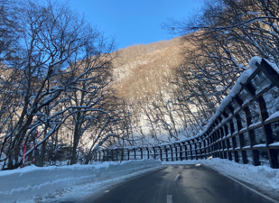 f:id:maaikkachannel:20220119202208p:plain