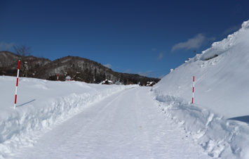 f:id:maaikkachannel:20220119204010p:plain