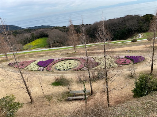f:id:maako315:20200120111416j:image f:id:maako315:20200120111416j:image