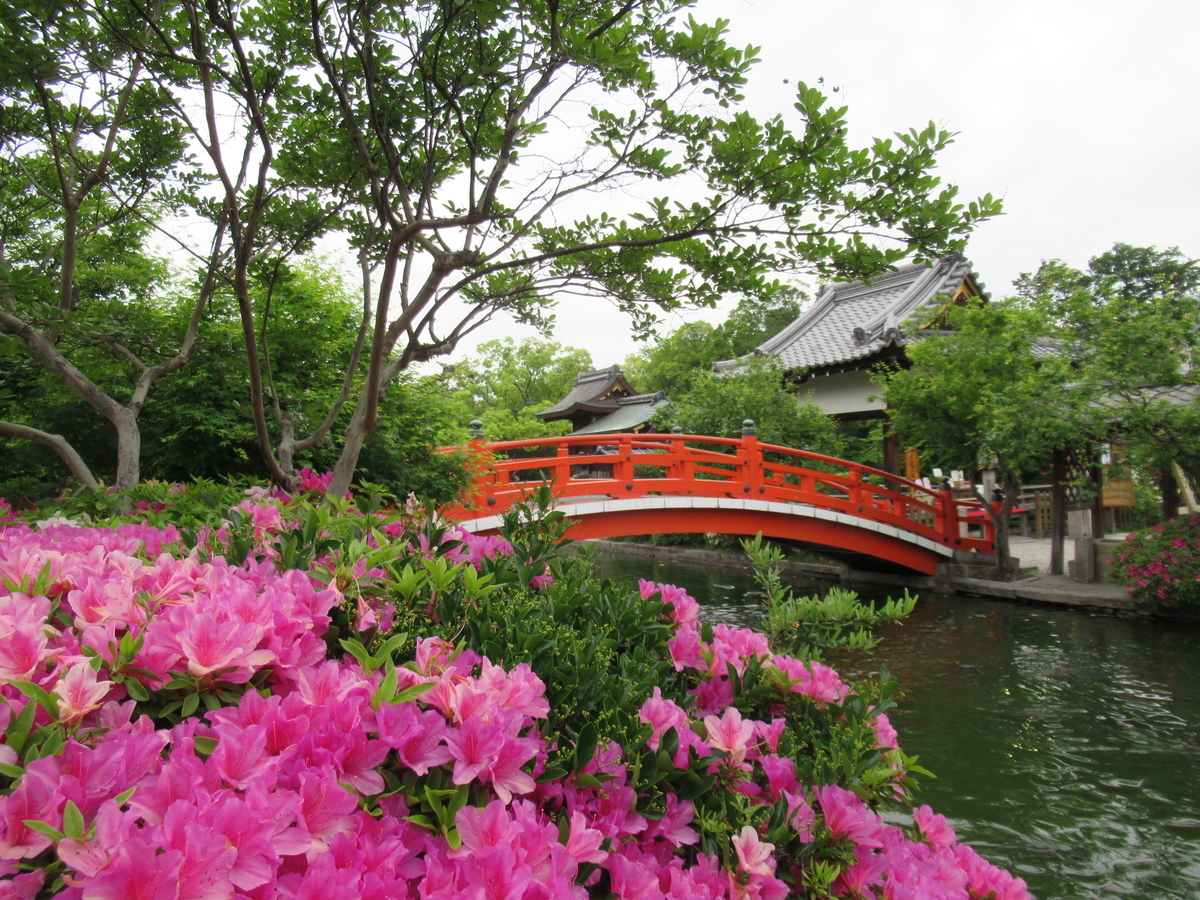 f:id:maako4866:20200512161037j:plain f:id:maako4866:20200512161037j:plain