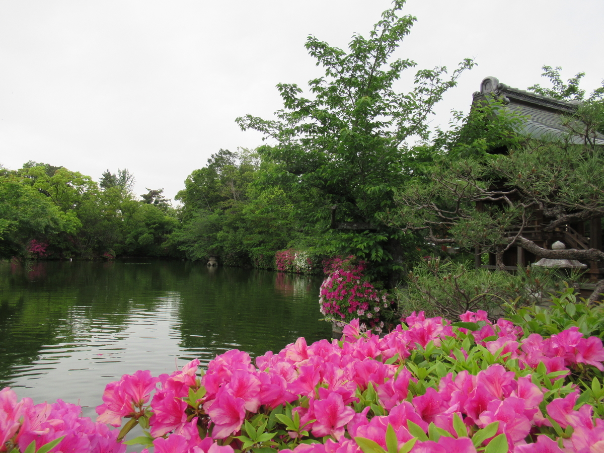 f:id:maako4866:20200512161246j:plain f:id:maako4866:20200512161246j:plain