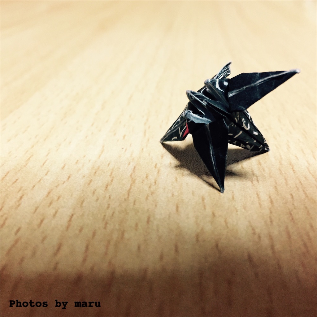 f:id:maaruu:20170116232022j:image f:id:maaruu:20170116232022j:image