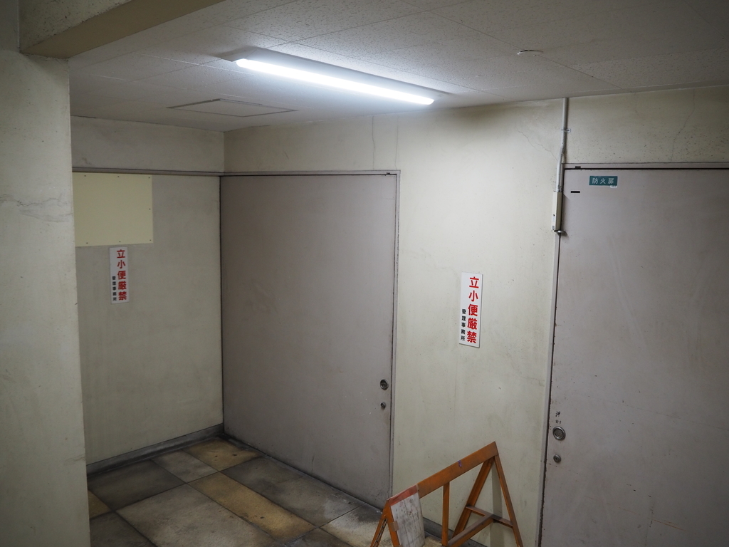 f:id:maavo:20190224222929j:plain