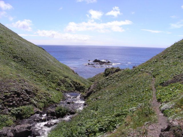 f:id:mabara:20100723124748j:image f:id:mabara:20100723124748j:image