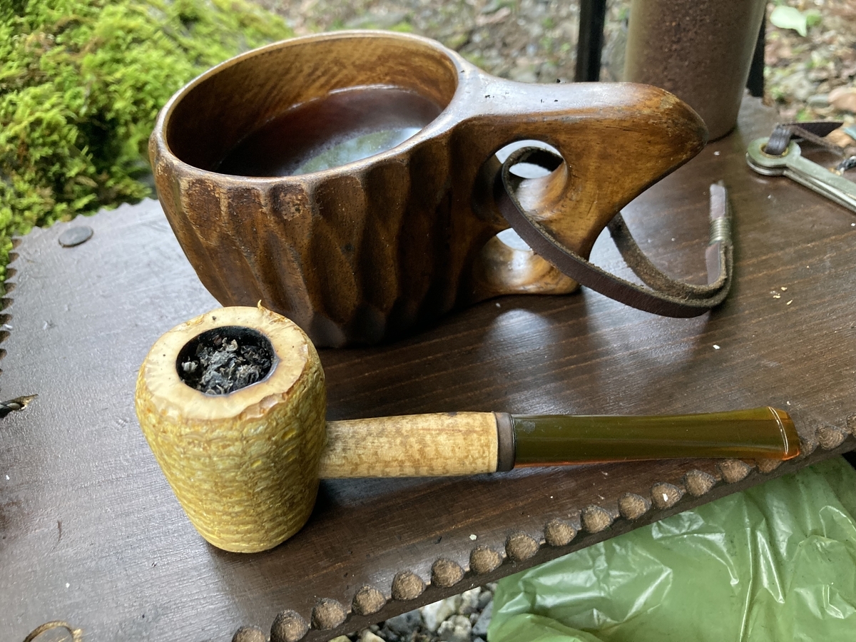 2回目のハンモック泊は、タープ無しにチャレンジ！ - 天幕日記