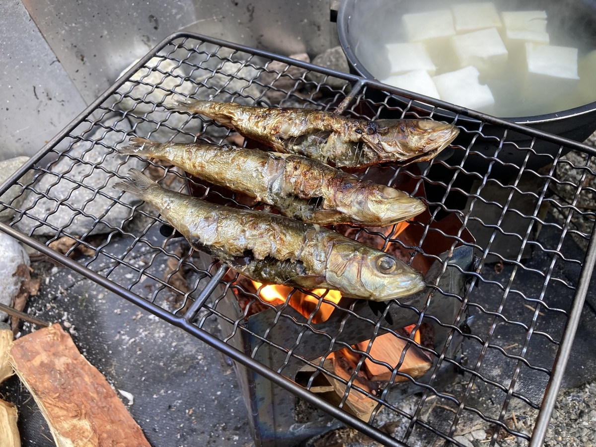 今シーズン最後の大鳩園でプチ冬キャン - 天幕日記