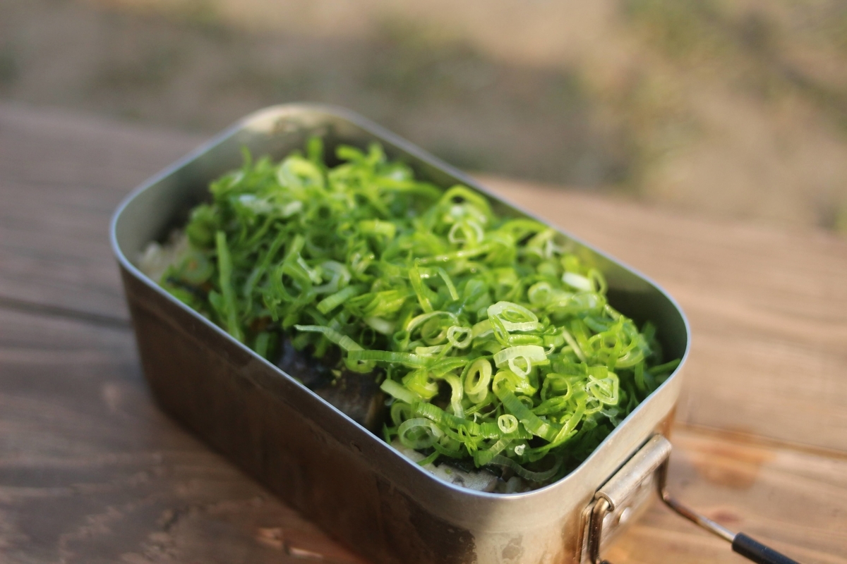 f:id:mabo2011:20210527053307j:plain