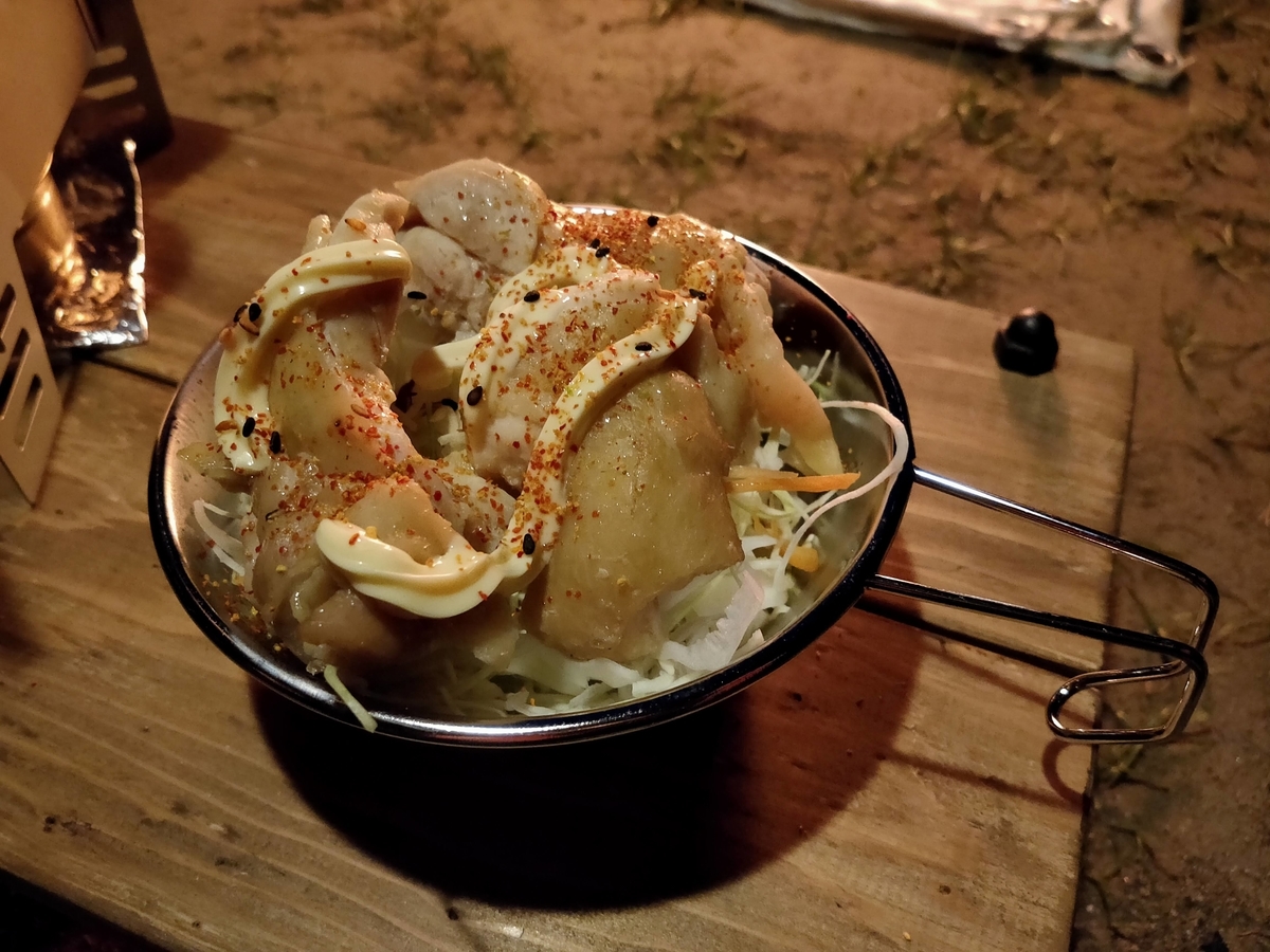 f:id:mabo2011:20210527053345j:plain