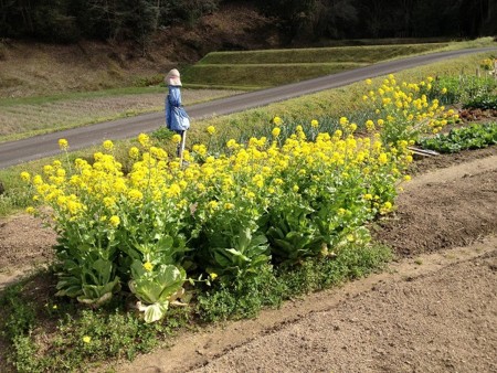 f:id:mabo3desu:20170412220909j:image f:id:mabo3desu:20170412220909j:image