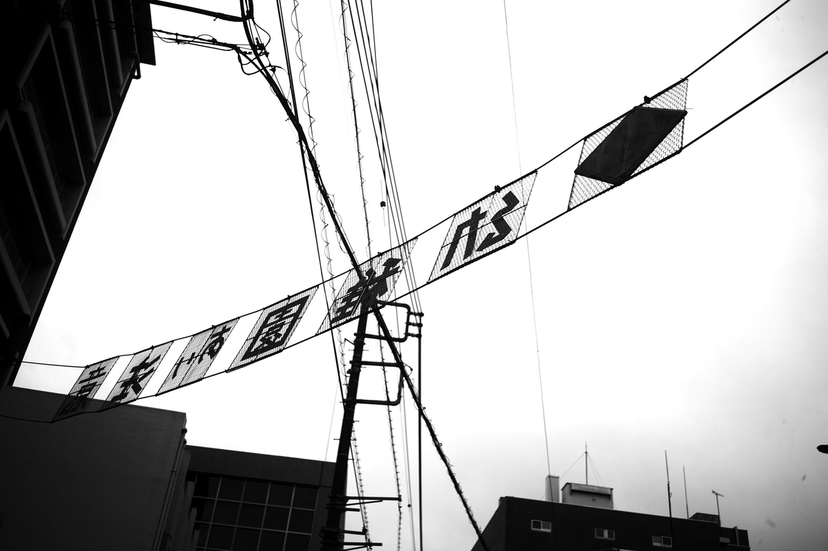 SNAP MABO《ﾟДﾟ》