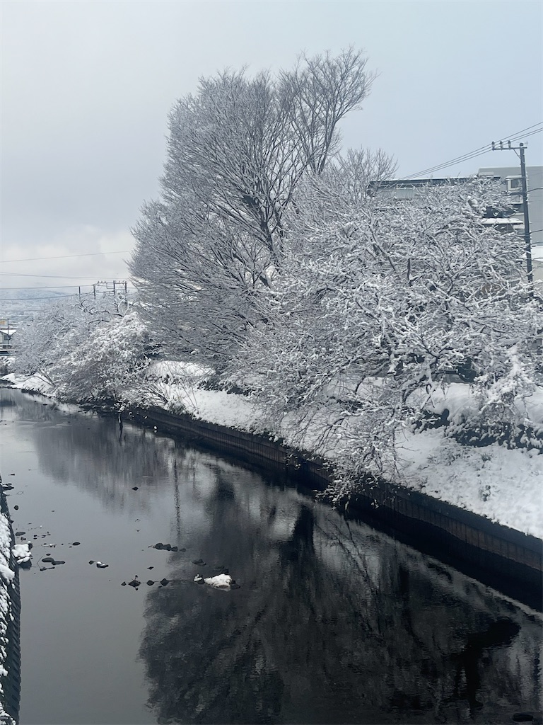 f:id:mabo_r13:20260208202300j:image f:id:mabo_r13:20260208202300j:image