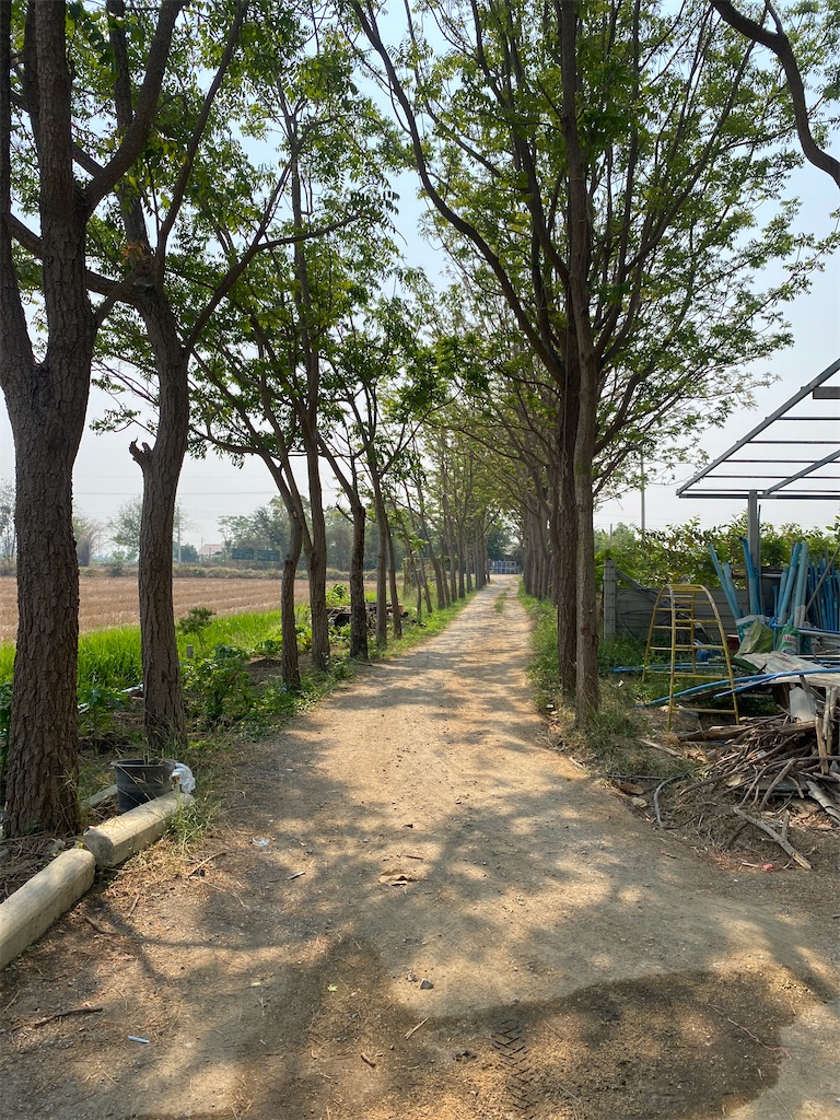 f:id:maboblog:20210223123933j:image