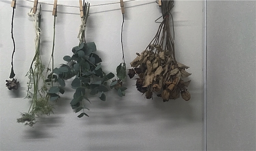 f:id:mabodohu_hu:20190403232803j:image