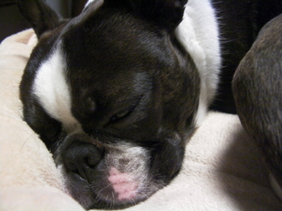 f:id:mabuazu:20101009141535j:image f:id:mabuazu:20101009141535j:image