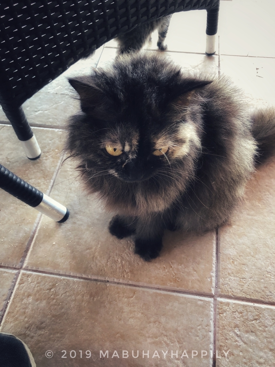 f:id:mabuhayhappily:20190630193906j:plain f:id:mabuhayhappily:20190630193906j:plain