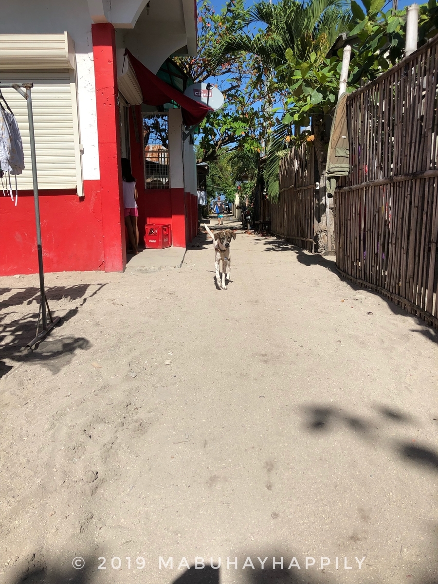 f:id:mabuhayhappily:20190702144302j:plain f:id:mabuhayhappily:20190702144302j:plain