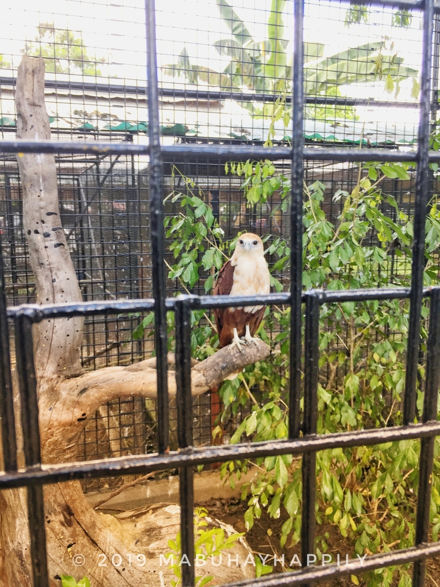 f:id:mabuhayhappily:20190724195728j:plain f:id:mabuhayhappily:20190724195728j:plain