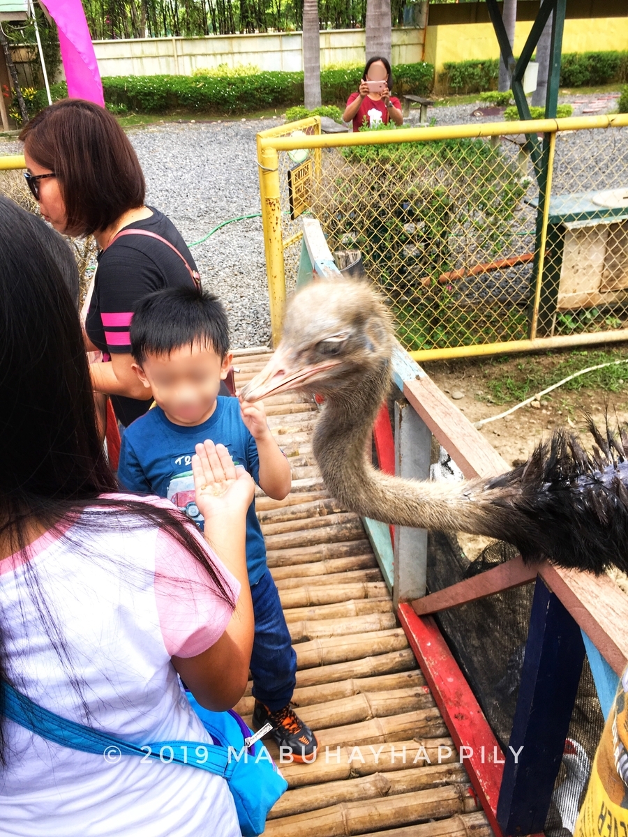 f:id:mabuhayhappily:20190724200102j:plain f:id:mabuhayhappily:20190724200102j:plain