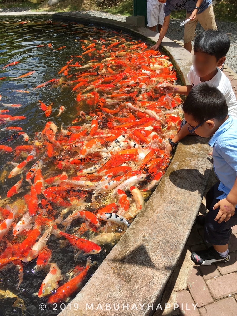 f:id:mabuhayhappily:20190724200429j:plain f:id:mabuhayhappily:20190724200429j:plain