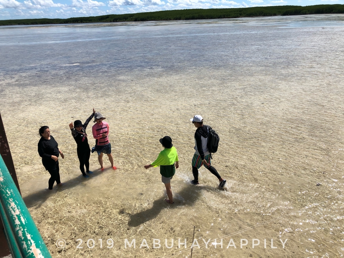 f:id:mabuhayhappily:20191109211616j:plain f:id:mabuhayhappily:20191109211616j:plain