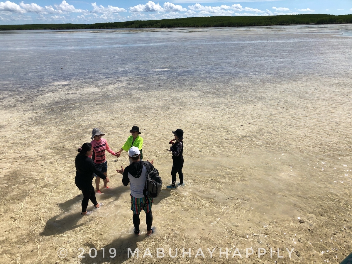f:id:mabuhayhappily:20191109211654j:plain f:id:mabuhayhappily:20191109211654j:plain