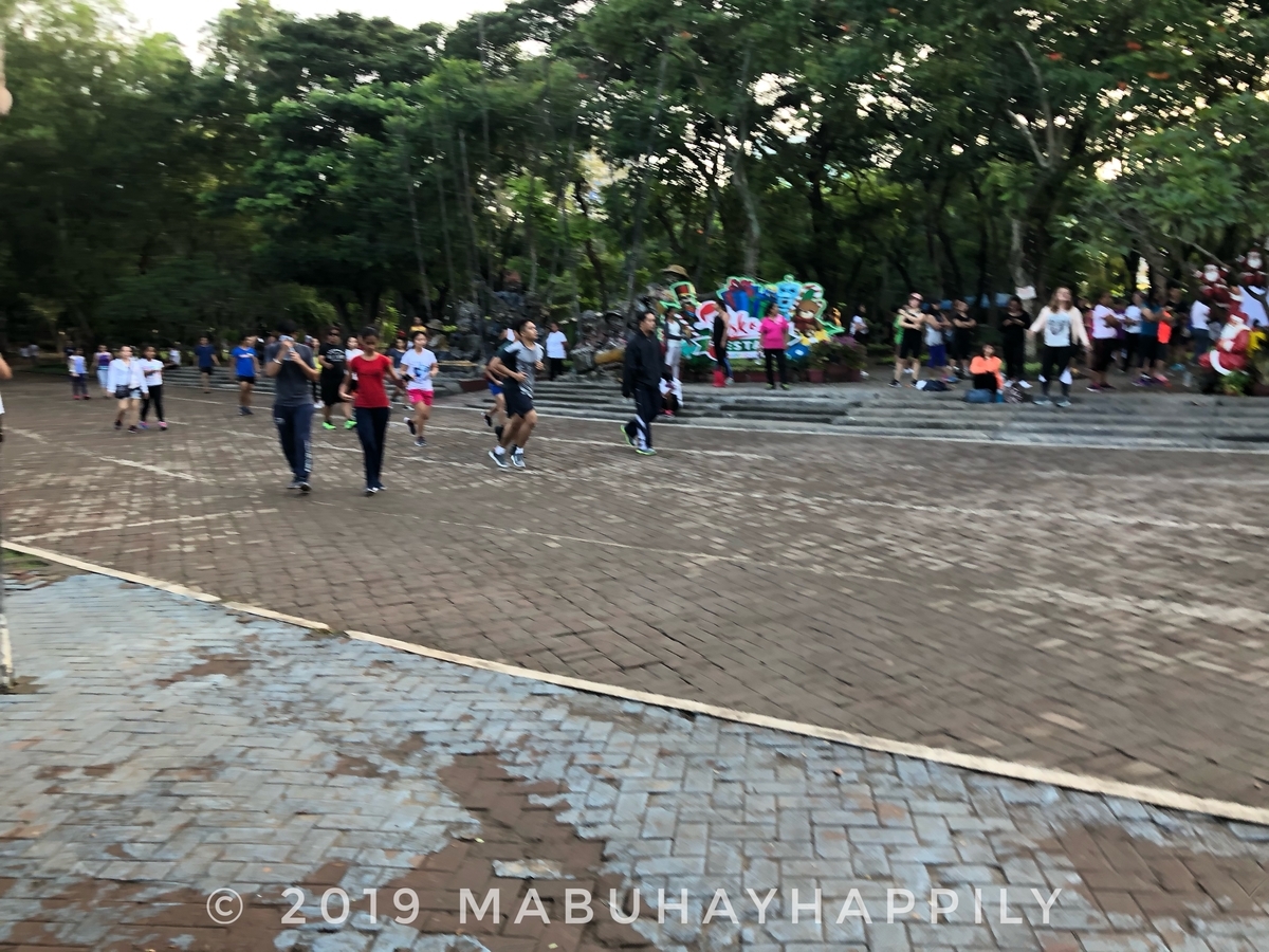 f:id:mabuhayhappily:20191209081132j:plain f:id:mabuhayhappily:20191209081132j:plain