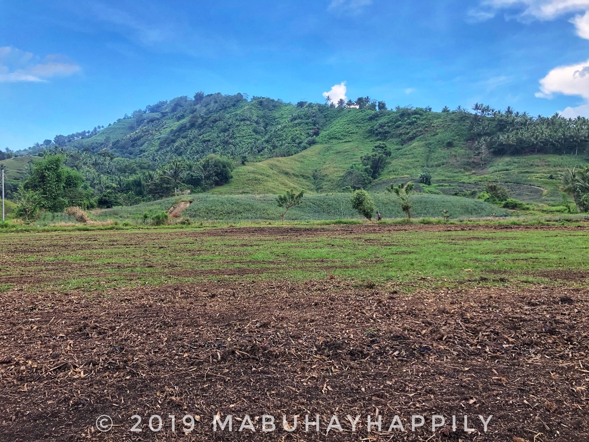 f:id:mabuhayhappily:20191225174244j:plain f:id:mabuhayhappily:20191225174244j:plain