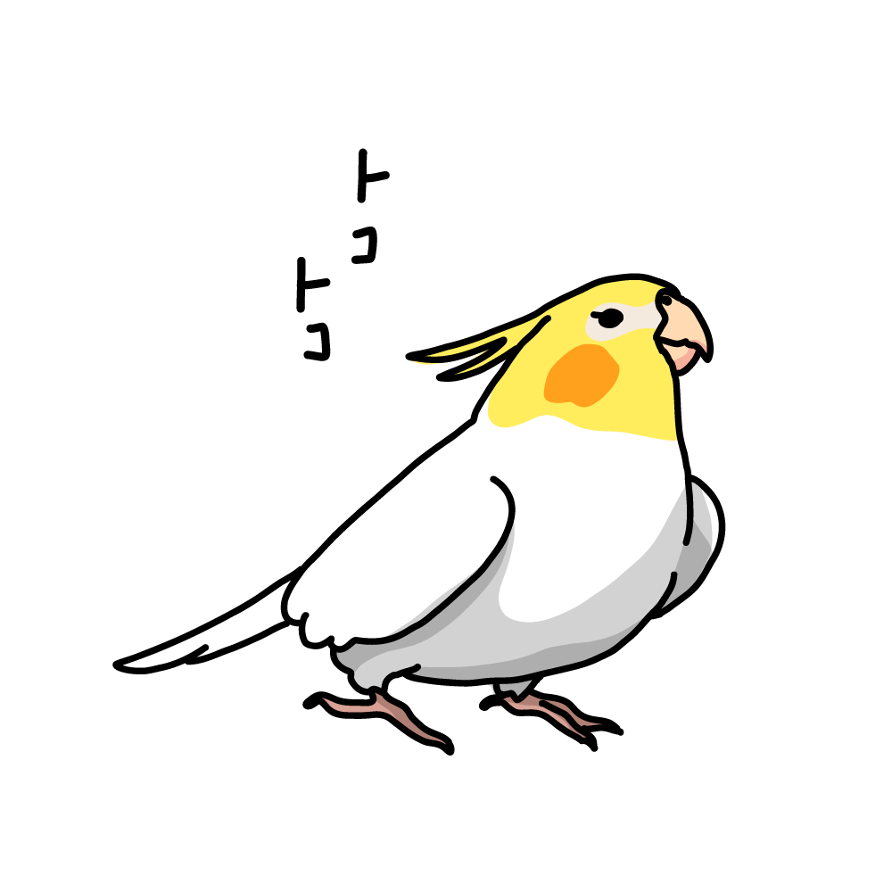 インコの種類の数は 緑のものはどれくらい しゃべる種類も知りたい 知恵の輪
