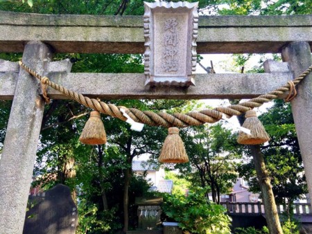 野間神社内鳥居