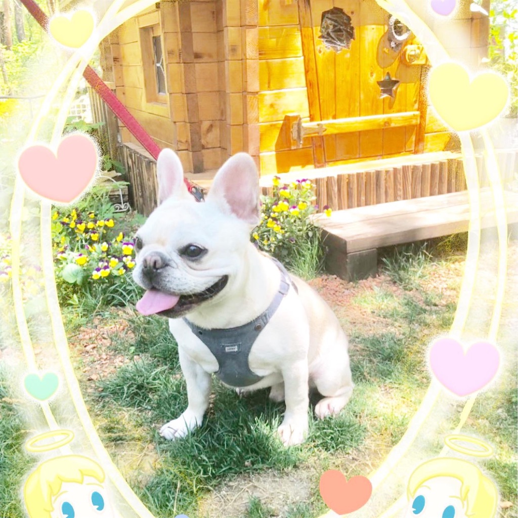 f:id:mac45atm642:20190929160525j:image