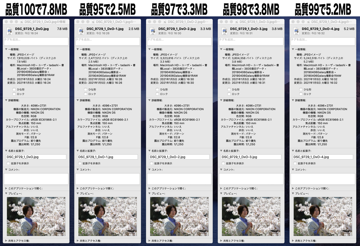 f:id:mac_papa:20210105182650j:plain