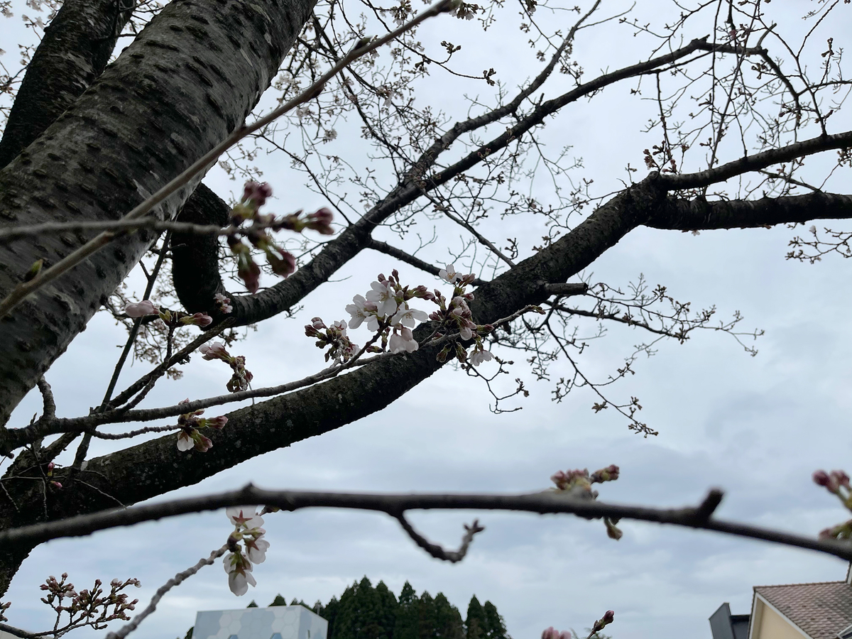 f:id:mac_papa:20210328121729j:plain