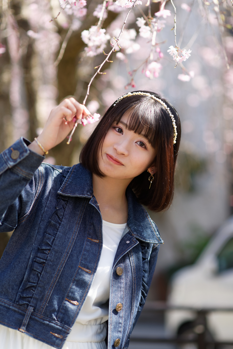 f:id:mac_papa:20210426060411j:plain