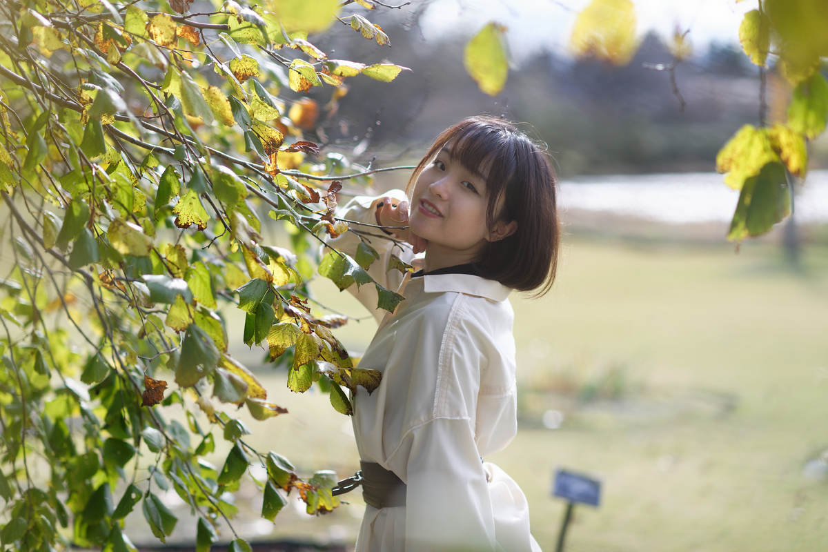 f:id:mac_papa:20211120073303j:plain