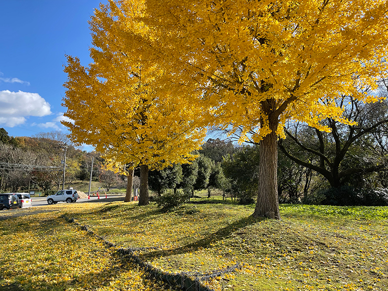 f:id:mac_papa:20211128185414j:plain