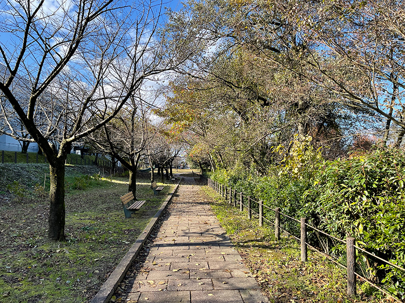 f:id:mac_papa:20211128185446j:plain