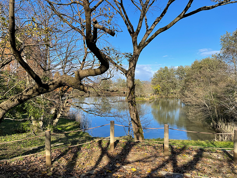 f:id:mac_papa:20211128185455j:plain