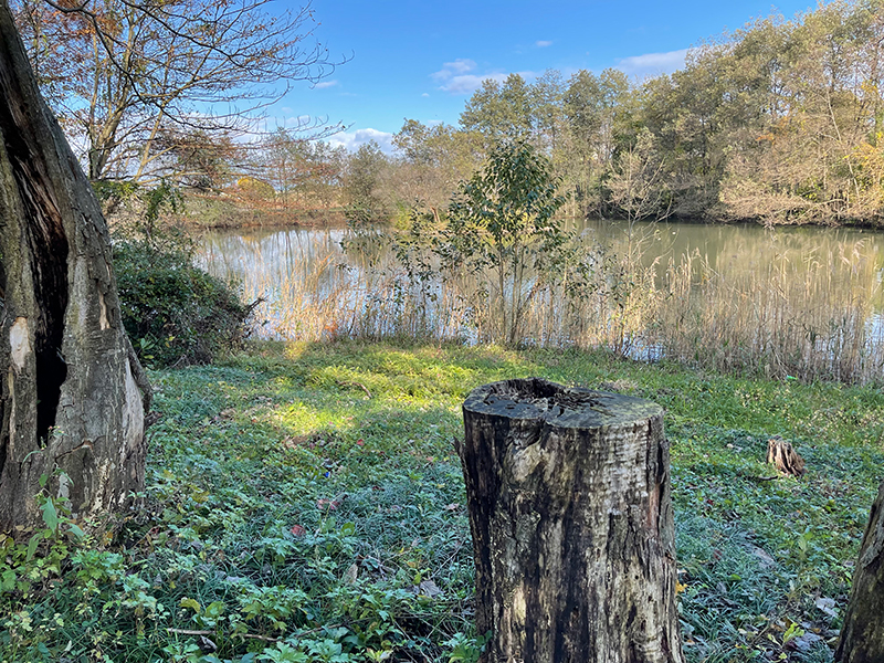 f:id:mac_papa:20211128185504j:plain