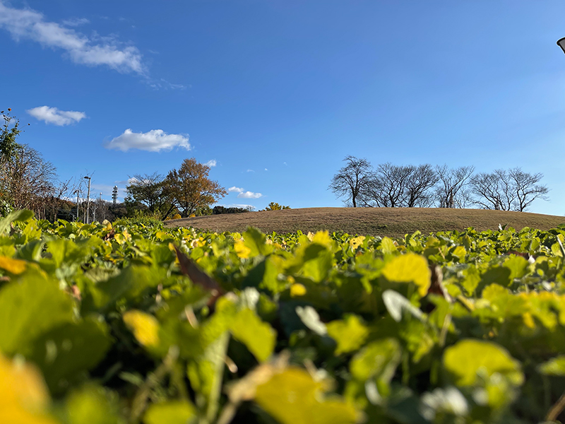 f:id:mac_papa:20211128185514j:plain