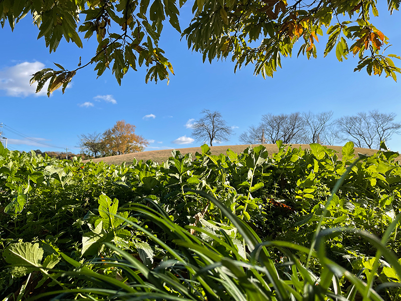 f:id:mac_papa:20211128185523j:plain