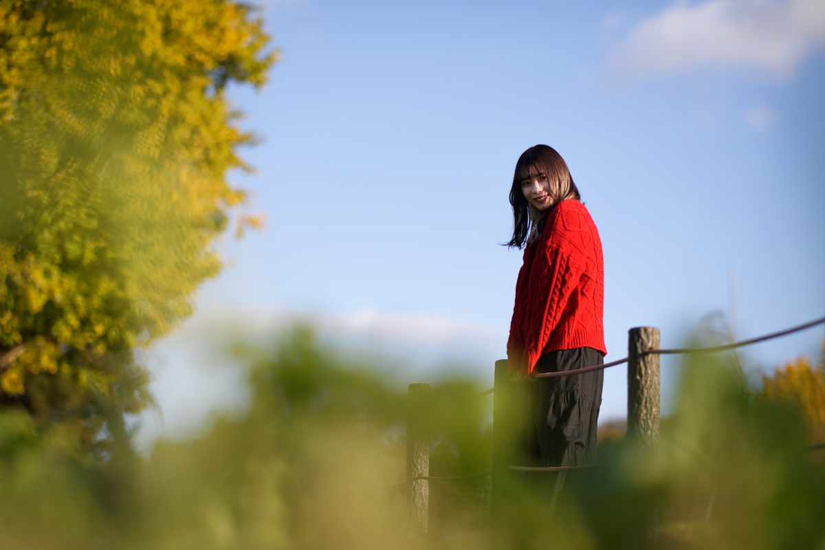 f:id:mac_papa:20211211060018j:plain