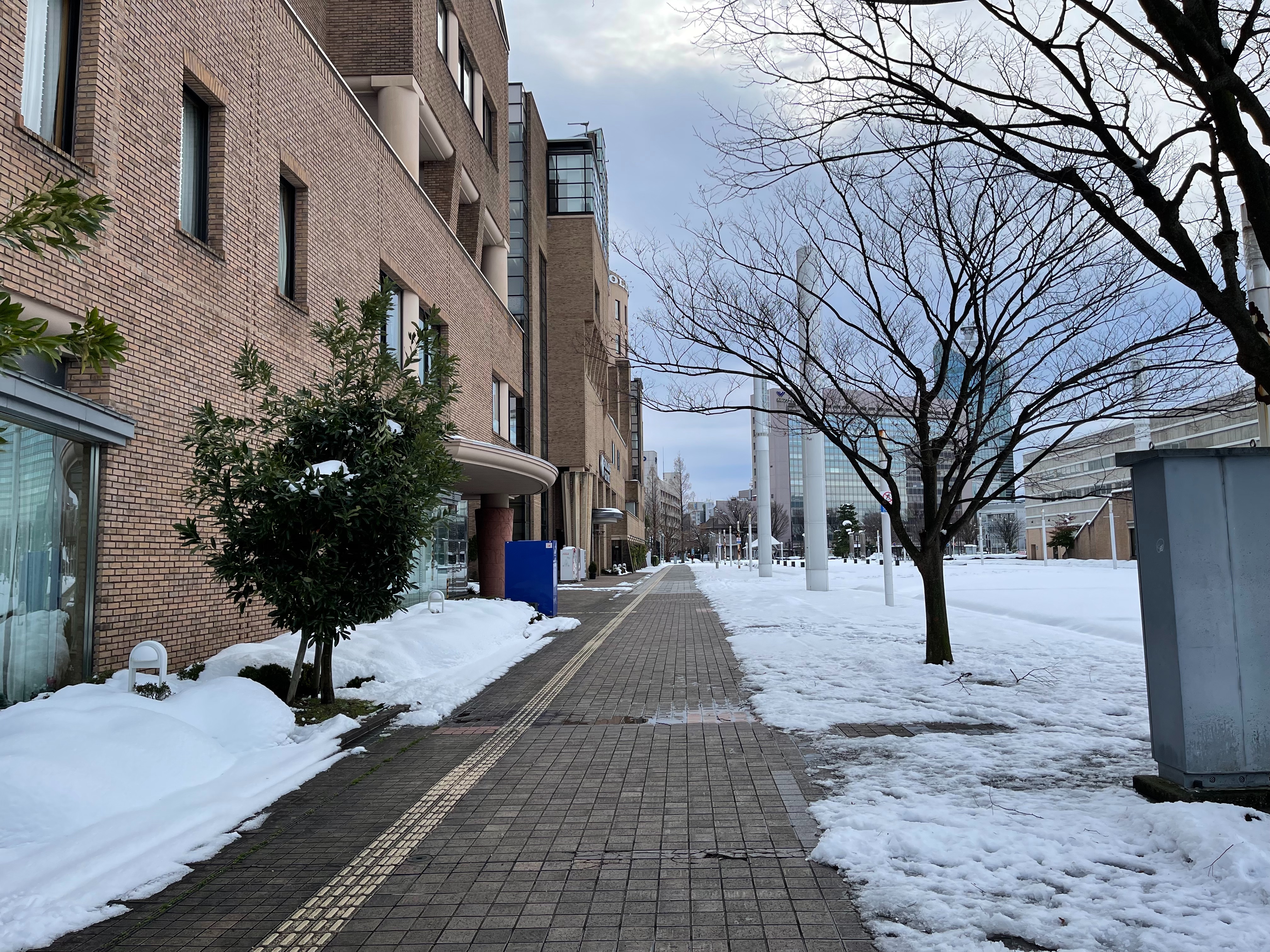 f:id:mac_papa:20211229132923j:image